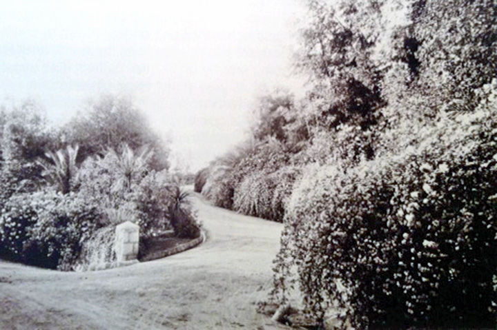 Prospect Park before ...